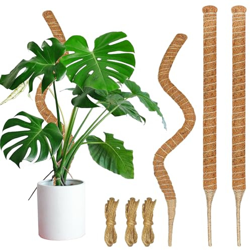 Dimpoo Paquete de 3 postes de musgo, postes de musgo de 26.8 pulgadas para plantas Monstera, estacas flexibles de soporte para plantas trepadoras de interior, palo de enrejado de jardín para plantas