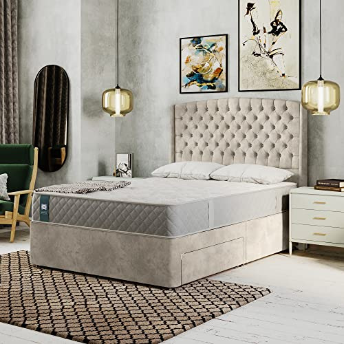 Sealy Waltham Latex Advantage Mattress