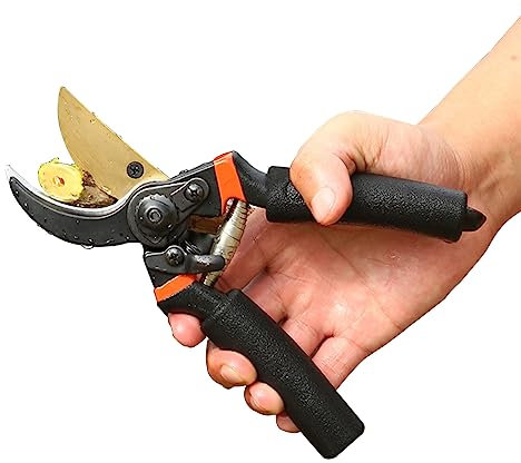Heavy Duty Garden Secateurs, Bypass Professional Pruning Shears with PVC Handles & 8cm Titanium Coated Blade – Used as Garden Scissors, Trimmers, Clippers & Pruners for Plants & Bouquet Making