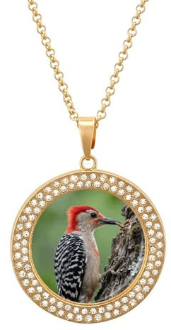 FekiLoot Male Red-bellied Woodpecker Pendant Necklace for Women Men Elegant Diamond Circle Necklaces with 19.7 Inch Chain, Zinc Diamond Jewelry for Birthday Christmas Valentine's Day Gift, One Size