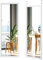 COSTWAY Espejo en la Puerta o en la Pared, Espejo de Cuerpo Entero 120 x 37 cm con Ganchos para colgarlo, Espejo de Cuerpo Entero (Blanco)