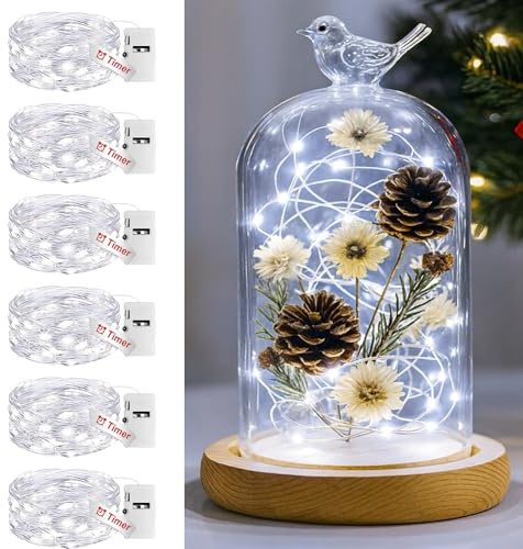 btfarm 3 Modes Fairy Lights Battery Operated with Timer, 6 Pack 2M 20 LED String Light Battery Powered, Waterproof Silver Wire Small Lights Indoor Outdoor Decor for Christmas Jars Bedroom, Cool White