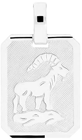 My Gold Damen Herren Sternzeichen Anhänger STEINBOCK Sterlingsilber 925 (Ohne Kette) Echtes Silber Platte 21mm x 12mm Horoskop Gaudino A-03303-S923-Ste