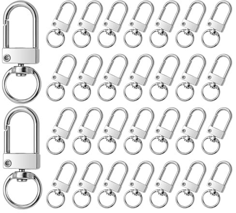 JJUNW 30 Stück Schlüsselanhänger Karabiner, Karabinerhaken mit Drehgelenk, Karabinerverschlüsse mit D-Ring 360° drehbarem Schlüsselringe Edelstahl für DIY Keychain Schlüsselring Stecker (Silber)