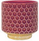 Nordring Pot de Fleur Goldy - Pots de Fleurs décoratifs Couleur pour intérieur Style rétro créatif S (10 cm ø), Rouge, Céramique