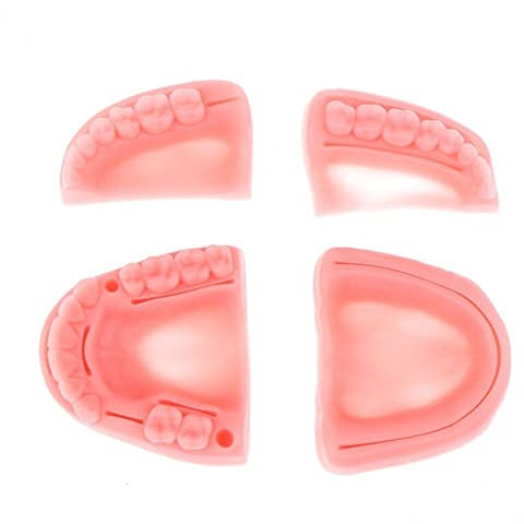 Lpitoy 4 Teile/Satz Dental Gum Naht Ausbildung Modell Silikon Parodontitis Naht Modell Für Studenten Üben Nähen