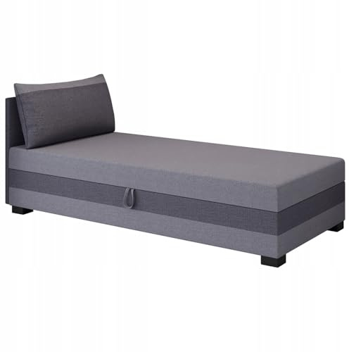 TAPCZANY24 - Boxspringbett Ilia 100x200 cm mit Schaumstoff Matratze | Bett mit Matratze, Polsterbett mit Bettkasten, Gepolstertes Einzel Bett, Schlafsofa - Grau