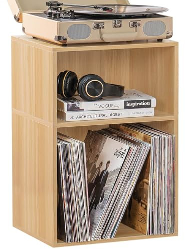LELELINKY Record Stand with Storage, 2-Tier Record Player Stand with Shelf, Turntable Cabinet for Up to 80 Albums, CD Rack and Display Shelves, Record Shelf for Music Room and Living Room, Black