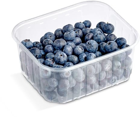Arándanos tarrina 300 gr