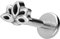 PIERCINGLINE Titan Labret mit Gewinde Aufsatz LOTUSBLÜTE Piercing Lippe Nase Ohr Helix Tragus Medusa Silberfarben 1,2 x 6 mm