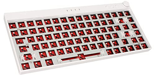 RGB Modular DIY Mechanical Keyboard, with Switch Hot Swap Shaft Seating, 65% Layout, Supports Wireless 2.4G, BT3.0, 5.0, Type C Wired, Customized Keyboard Kit for Home, Office(White)