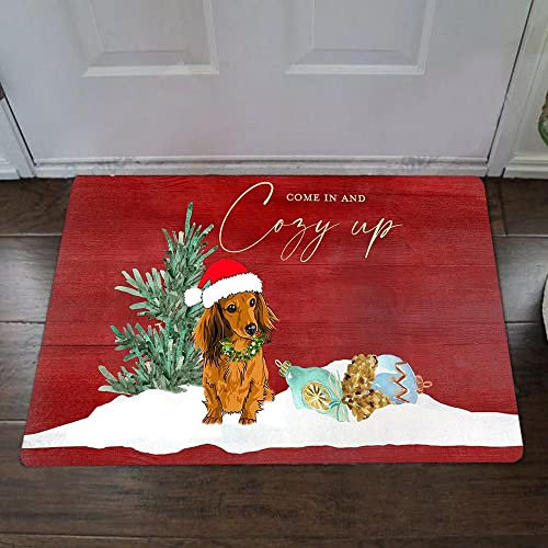 Door Mat Indoor Entrance Porch Welcome Funny Non Slip Rugs Doormat Home Decor Alone Dachshund Come in and Cozy Up Home Decor Housewarming Decor 23.6x15.7 Inch