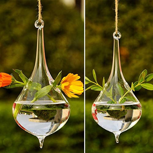 RXMORI 2 Maceteros Colgantes de Cristal para Plantas de Terrario, Contenedores de Cristal Colgantes con Cuerda de Lágrima, Terrario, Plantas de Terrario, Jarrón para Plantas de Aire, Maceteros Suculen