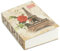 Secret Book Sicher Safe Box Buch-Safe mit Schloss Geldkassette im Wörterbuch Buch Verstecktes Buch mit Schlüssel Lock Anti Diebstahl Sicher Secret Box Geldschrank Aufbewahrungsbox Paris