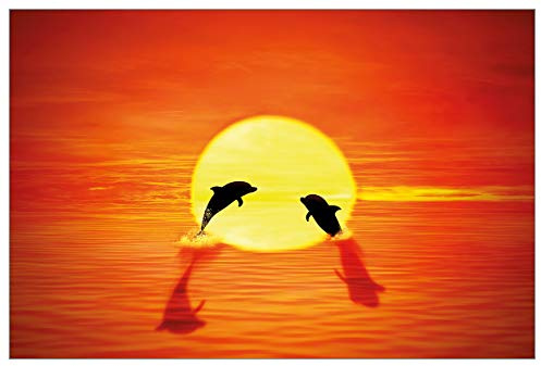 Wallario Küchenrückwand selbstklebend 90 x 60 cm, Motiv: Delphine im Sonnenuntergang | Spritzschutz abwischbar & pflegeleicht
