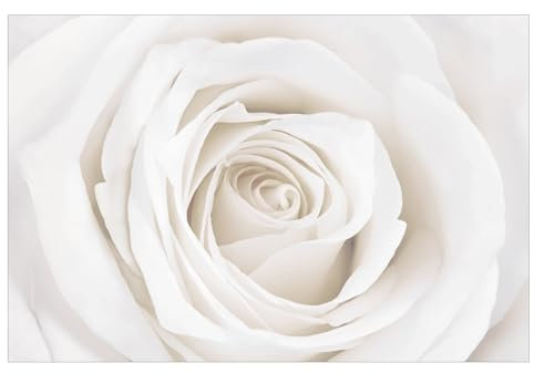 Bilderwelten Fototapete Blumen 190cm x 288cm Modern Natur Rosen Weiß Blumentapete Vliestapete Tapete Wanddeko Ideen Wohnzimmer Schlafzimmer Küche