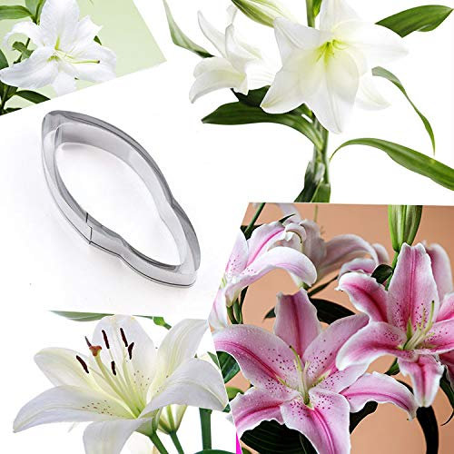 Ausstechform aus Edelstahl mit Lilien-Blütenblättern – Lilienblütenblatt für Kuchendekoration, 2 Stück