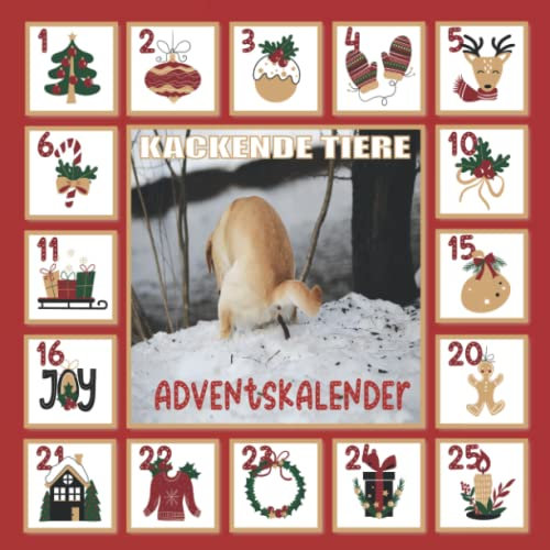 adventskalender kackende tiere: Lustiger Kalender 2023 Geschenke für Hundeliebhaber: Geschenkideen für Besitzer