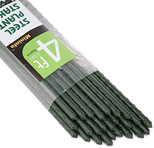 Mininfa Green Metal Garden Plant Stakes 120cm(4ft) x 11mm, 25 Pack, Plastic Coated Steel Garden Canes Supports Climbing for Tomatoes, Trees, Beans, 25 Pack