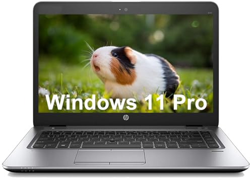 HP Elitebook 840 G3 Ordinateur Portable, 14in HD Notebook, Intel Core i5-6300u, RAM 8 Go, SSD 256 Go, Win11 Pro (Rénové)
