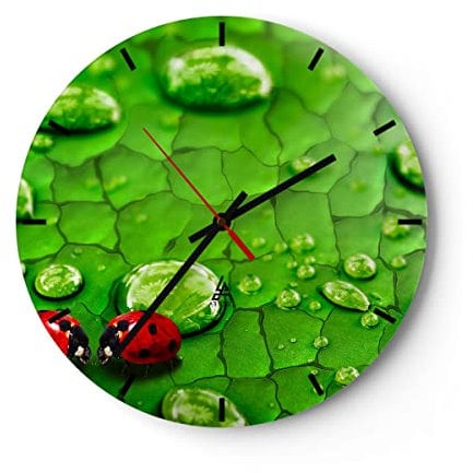 Modern Wanduhr Marienkäfer Gras Blatt Tropfen 40x40cm Rund Groß Wand Uhr Glas Analog Zimmeruhren Küche Büro Wohnzimmer Glasuhr Wall Clock Dekoration Design Wanddekoration Küchenuhr C3AR40x40-2363