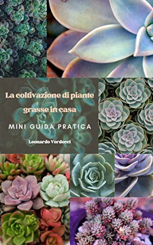 La coltivazione di piante grasse in casa: Mini guida pratica