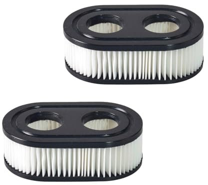 NEWHE 2 filtri dell'aria di alta qualità per motori Briggs & Stratton 550E 550EX Eco-Plus 575EX Series filtro dell'aria tosaerba, numero di riferimento 798452 798339 593260 093000er 09P0000er, 4247,