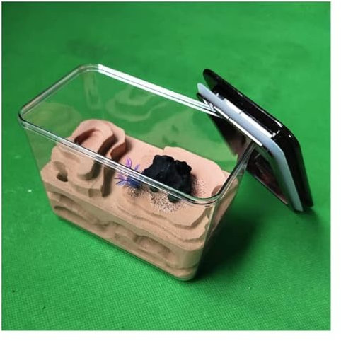 MCLIUJIA Ameisenfarm Ameisennest Ameisenburg Aus Gips, Ameisennest Aus Acryl, Ameisenlebensraum, Ameisenfarm, Ameisenbeobachter, Ameisenlebensraum, Lernumgebung Ameisenhaus