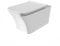 Rivo Bathroom Wall Hung Toilet Includes Soft Close Toilet Seat White Ceramic