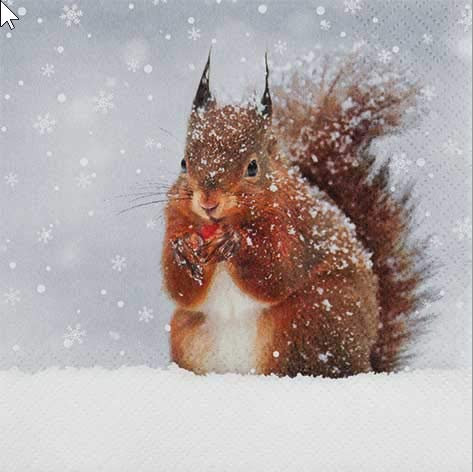 20 Servietten Eichhörnchen im Winter/Tiere/Winter/Weihnachten/Waldtier