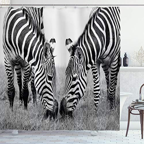 ABAKUHAUS Zebra Duschvorhang, Wildlife Burchell, Stoffliches Gewebe Badezimmerdekorationsset mit Haken, 175 x 180 cm, Schwarz Weiß