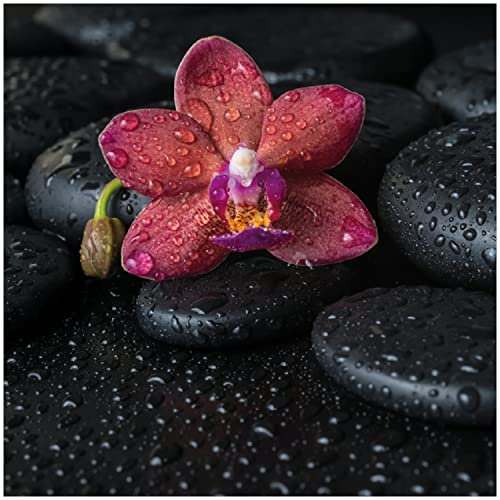 Wallario Glasbild Orchideen-Blüte auf schwarzen Steinen, benetzt mit Wasser-Tropfen - 30 x 30 cm Wandbilder Glas in Premium-Qualität: Brillante Farben, freischwebende Optik