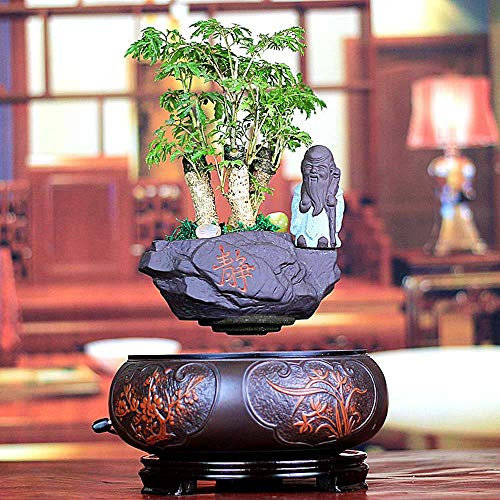 ZHHID Deko-Pflanzentopf - Levitating Schwebender Blumentopf - Zimmerpflanzen - Kreative Design Levitation Bonsai - Home Office Dekorationen - Fun Geschenk,Style-F