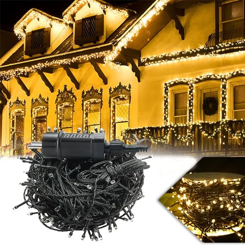 Froadp LED Lichterkette 1000 LEDs Lichterketten Außen mit Stecker IP44 Wasserdicht Weihnachtsbeleuchtung mit 8 Leuchtmodi Lampenkette für Innen Garten Hochzeit Weihnachten Party (100m, WarmWeiß)