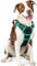 rabbitgoo Hundegeschirr Mittelgroße Hunde, Anti Zug Geschirr mit Kontrolle, No Pull Verstellbar Hundegeschirr Grosse Hunde, Atmungsaktiv Reflexstreifen Brustgeschirr Sichere Führung Schwarz+Grün L