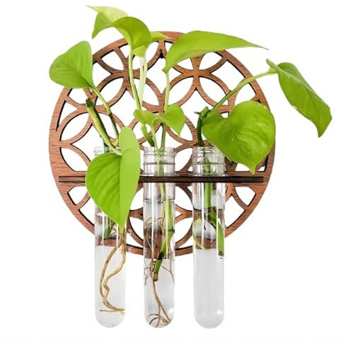 ZYETGH Wall Hanging Propagation Station, Plant Propagation Station Wall Mounted Hanging Test Tube Vase with Wooden Stand for Hydroponic Plant Home Office Decoration