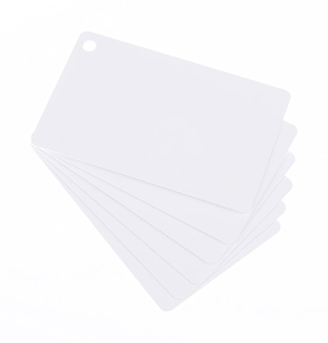 50 x Karteo® Blanko Plastikkarten Karten weiß mit Keytags Stanzung Ausstanzung Loch Lochung für Schlüsselringe Ketten und Schlüsselband Schlüsselbänder