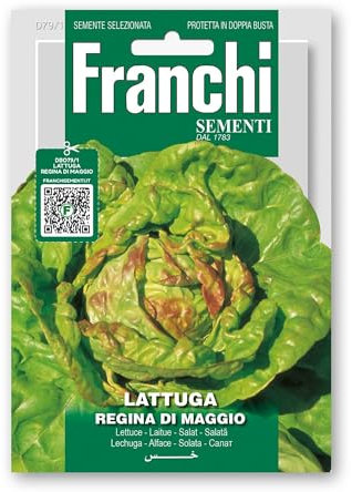 Semi Lattuga Regina dell'Orto Insalata Franchi Sementi 8g