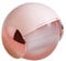 Cabilock Tragbarer Fusselentferner, Waschbar Und Wiederverwendbar, Mini Staubdichte Fusselrolle FüR Kleidung Und Haustierhaare, Ideal FüR Reisen Und Zuhause (Rosa)