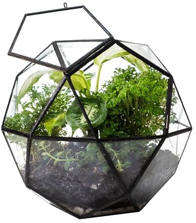 KraftStories Klarglas-Terrarium mit Tür | Behälter im Kugel-Design | idealer Pflanztopf für Moos und Zimmerpflanzen | hält die Luftfeuchtigkeit | Selbstpflegendes Indoor-Garten-Ökosystem (nur