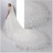 WxuuLTGJR Schleier Schleier Langer Hochzeitsschleier mit Spitzenkante und Kamm, Braut-Tüll, Braut-Tüllschleier, elegant, 250/300/350/400/500 cm, einfacher Brautschleier Anmut