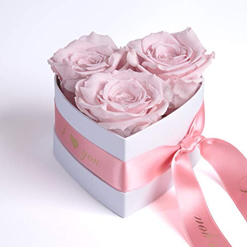ROSEMARIE SCHULZ Heidelberg Infinity Rosenbox Herz - 10x12cm ewige Rosen Rosa haltbar 3 Jahre Valentinsday Gift Box for Girlfriend (I Love You, Rosa)