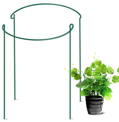 BJJH 【2PCS】 Halbrunde Gartenpflanzen Stützring, Stützkletter-Gemüse & Blumen & Obstwachstumskäfig, für buschige Pflanzen, Ranken, Hortensien, Rosen, Tomaten, Kürbis (25 * 40cm)