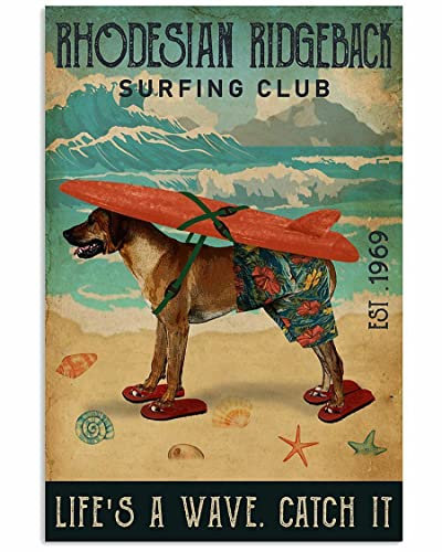 QKIODS Metallschild Surfing Club Rhodesian Ridgeback Schild Vintage Lustiges Schild Retro Aluminium-Blechschilder für Zuhause, Bauernhof, Garten, Bar, Badezimmer, Küche, 20,3 x 30,5 cm