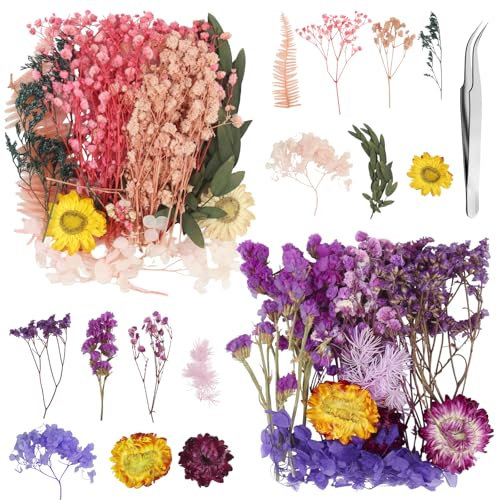 CYIOU 2 Boîtes Fleur Sechee Fleurs Sechees Naturelles Fleurs Séchées Fleur Sechee Naturelles pour Bougies DIY Fleur Sechees pour Resine Epoxy Artisanat de Décoration Florale(Rose/Violette)