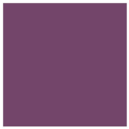 JULIEN PEINTURE RADIATEUR - 0.5 L - PRUNE SATIN
