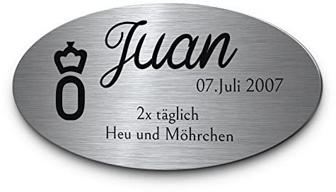 Pferdeschild mit Gravur aus Edelstahl | Namensschild Boxenschild Premium Stallschild mit Bohrlöcher oder selbstklebend 15x8 cm oval mit Brandzeichen und Motiven Ideal für den Stall Pferdebox… (D16)