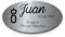 Pferdeschild mit Gravur aus Edelstahl | Namensschild Boxenschild Premium Stallschild mit Bohrlöcher oder selbstklebend 15x8 cm oval mit Brandzeichen und Motiven Ideal für den Stall Pferdebox… (D16)