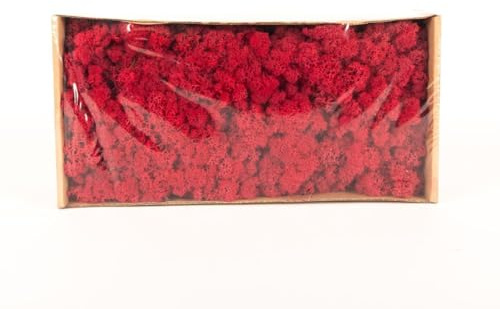 INNA-Glas Dekoratives Moos SVEINBJÖRN, crimsonrot, 500g | Echtes Isländisches Moos