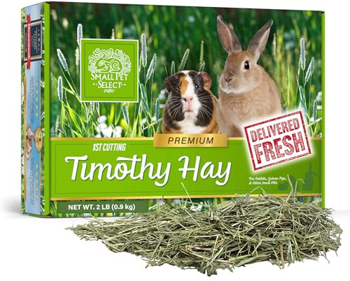 Small Pet Select 1st Cut Timothy Hay Pet Food for Rabbits, Guinea Pigs, and Other Small Animals, Easy to Store Box, 2lb (0.91kg)